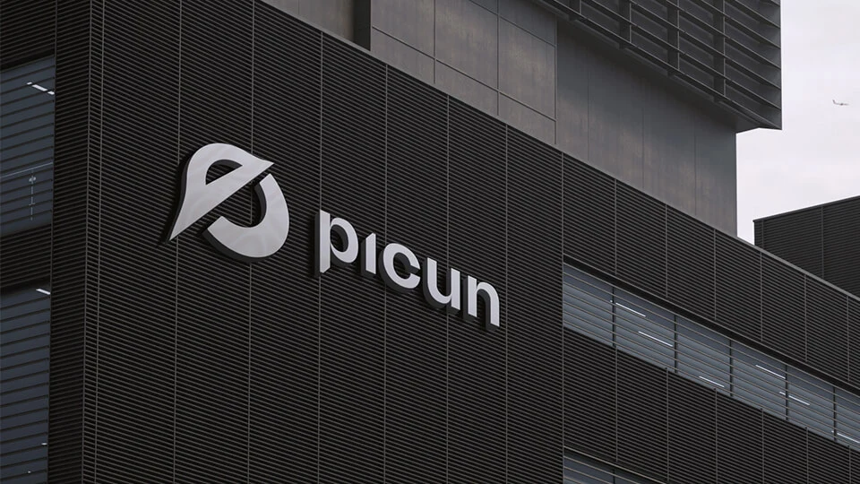 Picun Company Values