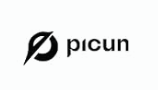 Picun